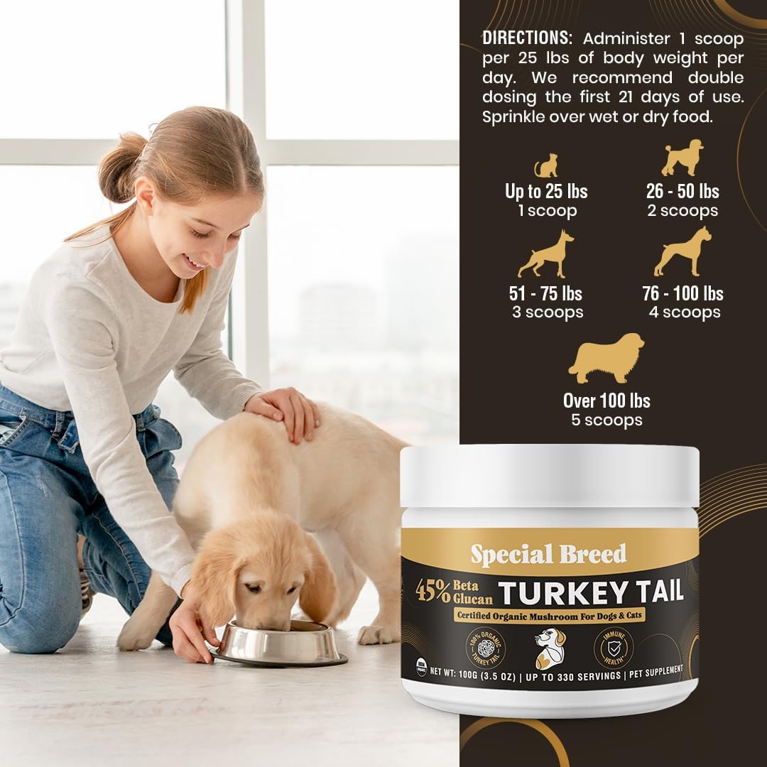 Cola de Pavo Orgánica para Perros y Gatos - Estandarizado al 45% de Beta Glucanos - Cuerpo Frutal Completo Extraído en Agua Caliente - Probado por Terceros - Apoyo Inmunológico y Digestivo - Sin Rellenos - Hecho en EE.UU. - 330 cápsulas