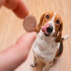 K-Plus Citrato Potásico y Arándano para Perros - 100 Comprimidos Masticables