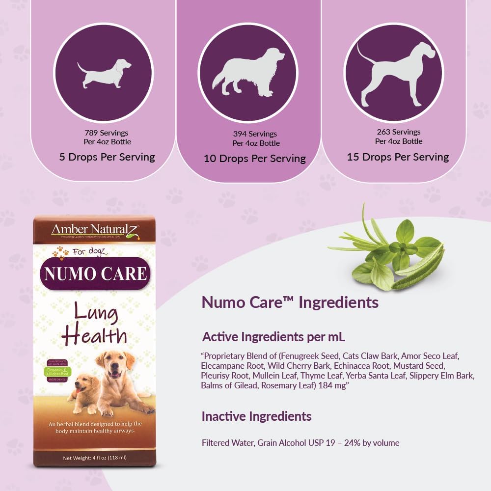 Amber NaturalZ Numo Care Apoyo Respiratorio para Perros | Fórmula Herbolaria para Ayudar a Mantener la Función Pulmonar Normal, Vías Respiratorias Claras y Salud Inmune | Ayuda Natural para la Comodidad al Respirar 118 ml
