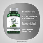 Extracto de Lechuga Silvestre de Piping Rock | 150 Cápsulas | Suplemento Herbal Concentrado