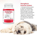Derm-Tabs Extra Strength Suplemento para Piel y Pelaje para Perros - Omega 3 y 6, Vitaminas, Minerales y Antioxidantes - 60 Comprimidos Masticables