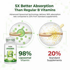 Liposomal B Complex for High Absorption Methylated B12, L-Methylfolate (5-MTHF), Full Active B Vitamins with Choline Inositol - Energy, Metabolism, Brain & Heart Support, Vegan, Non-GMO, 3 Month Supply