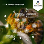 Organic Green Propolis Extract Propoflex 1fl oz - 30ml