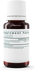 Genestra Brands Yema de Grosella Negra | Suplemento Alimenticio | 15 ml