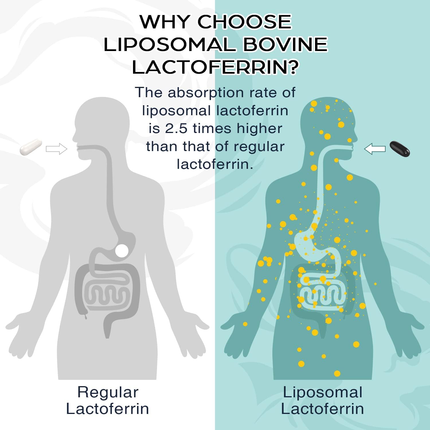 Lactoferrina Liposomal 1000 mg - 60 Cápsulas Blandas