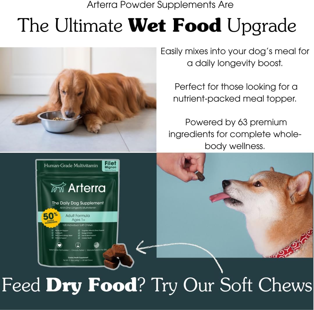 Suplemento en Polvo para Perros Mayores – 63 Ingredientes – Multivitamínico con Glucosamina, Probióticos y Omega-3 – 120 Dosis