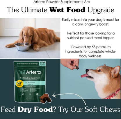Suplemento en Polvo para Perros Mayores – 63 – Proteína de caldo de huesos y péptidos de colágeno: contribuyen a – Image 2
