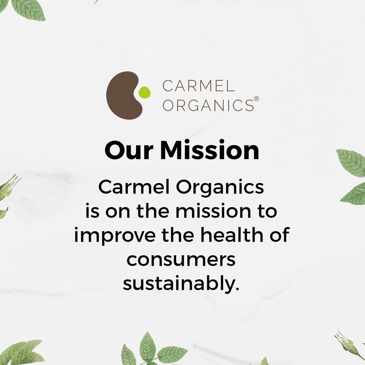 CARMEL ORGANICS Tulsi Leaves Powder 8 Ounce – Exfoliante: Mezcla con un poco de aceite de coco para obtener un – Image 8