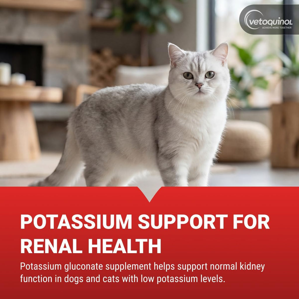 Vetoquinol Renal K - Suplemento de Potasio para Perros y Gatos - Gel Sabor Maple - 5 oz