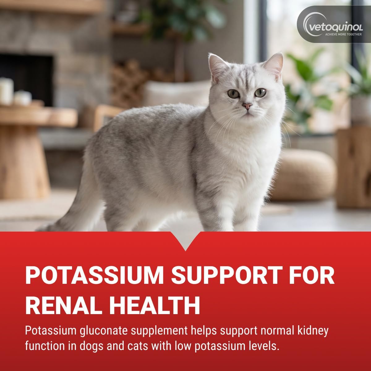 Vetoquinol Renal K - Suplemento de Potasio para Perros y Gatos - Gel Sabor Maple - 5 oz