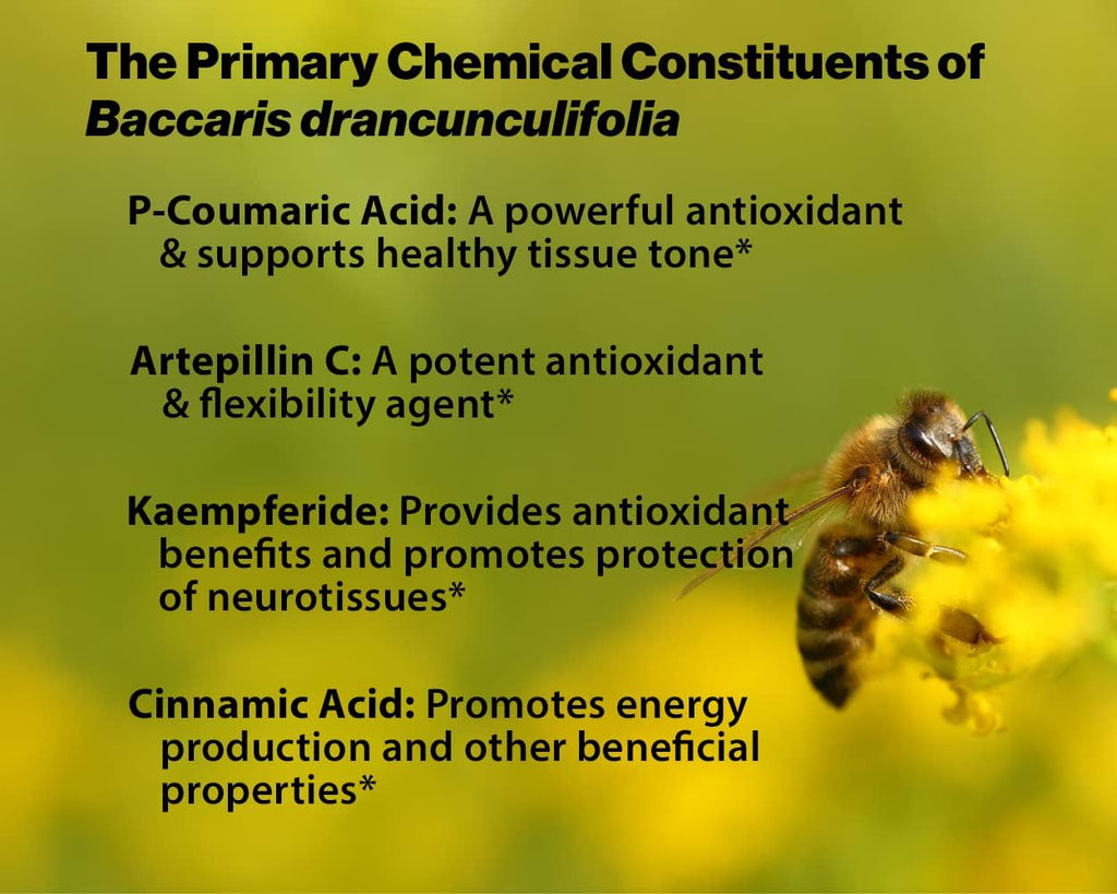 Dr. Ohhira's Propolis Plus - Propóleo Verde Brasileño con Postbióticos y Omega-3 (30 Cápsulas)