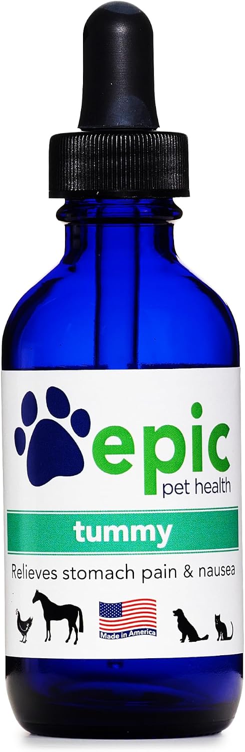 Tummy Electrolyte Supplement Multivitamin - Suplemento Electrolítico Multivitamínico para Perros y Gatos