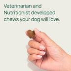 pawTree Bladder Support Plus - Complemento para la salud urinaria de perros y gatos (Grande)