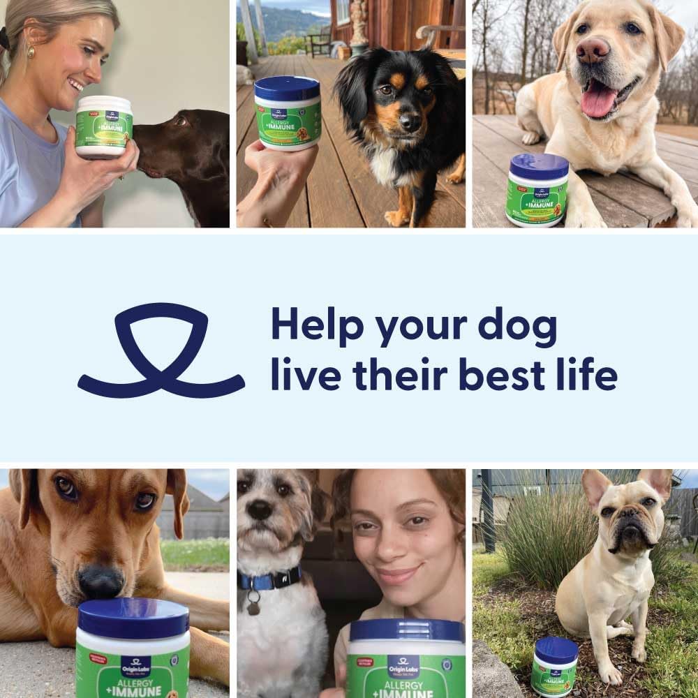 Origin Labs Complemento de Apoyo a las Alergias y el Sistema Inmunitario para Perros, Omega 3, Polen de Abeja, Calostro, Probióticos y Prebióticos, Sabor a Pavo, 90 Masticables Blandos