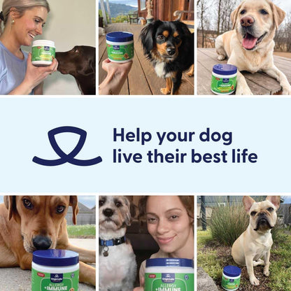 Origin Labs Complemento de Apoyo a las Alergias y el Sistema Inmunitario para Perros, Omega 3, Polen de Abeja, Calostro, Probióticos y Prebióticos, Sabor a Pavo, 90 Masticables Blandos