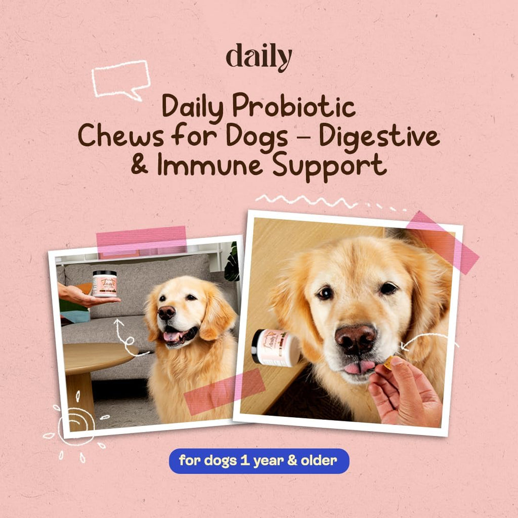 DLY Pets Probióticos para Perros - Salud Digestiva, Diarrea Ocasional - Sabor Pavo - 30 Masticables