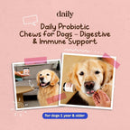 DLY Pets Probióticos para Perros - Salud Digestiva, Diarrea Ocasional - Sabor Pavo - 30 Masticables