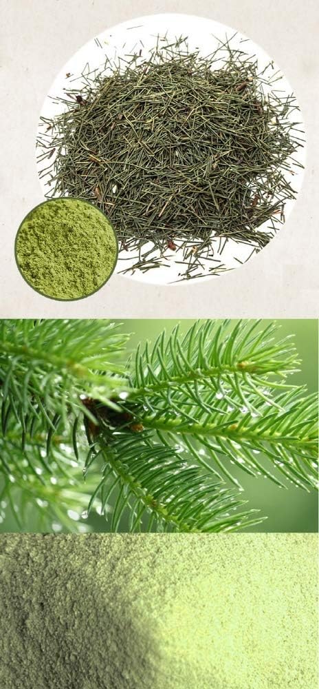 Extracto Orgánico Puro de Aguja de Pino en Polvo - 500g