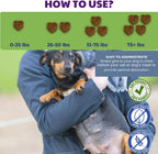 MaternityMax Vitaminas Prenatales para Perros y Gatos - Suplemento Pre y Postnatal con Probióticos, Glucosamina, MSM, CoQ10 y Vitaminas Esenciales - 90 Chews Blandos Sabor Salmón