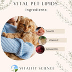 Vitality Science Advanced Immune Restoration Suplemento para Perros – Protocolo de Regeneración Intensa – Ayuda para el Alivio del Dolor (Tamaño Mediano)