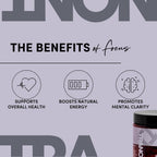 Tranont Focus Complejo B - Claridad Mental, Energía y Salud Inmunológica con Lion's Mane y Té Verde - Vegano, Sin Gluten - 90 Cápsulas