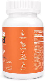 Life Leaf Remedies Immune Armor: Complemento Inmunitario con Vitamina C, D3, Zinc y Quercetina