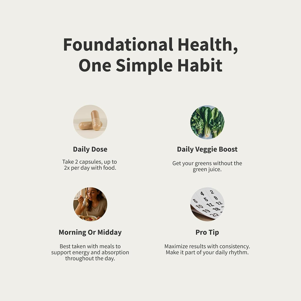 Snap Supplements Multivitamínico Diario para Mujeres, 60 Cápsulas