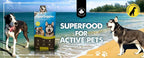 Superfood del Mar para Mascotas - 30 Sobres Diarios de 4g para Perros Medianos y Grandes (120g, Mes de Suministro)
