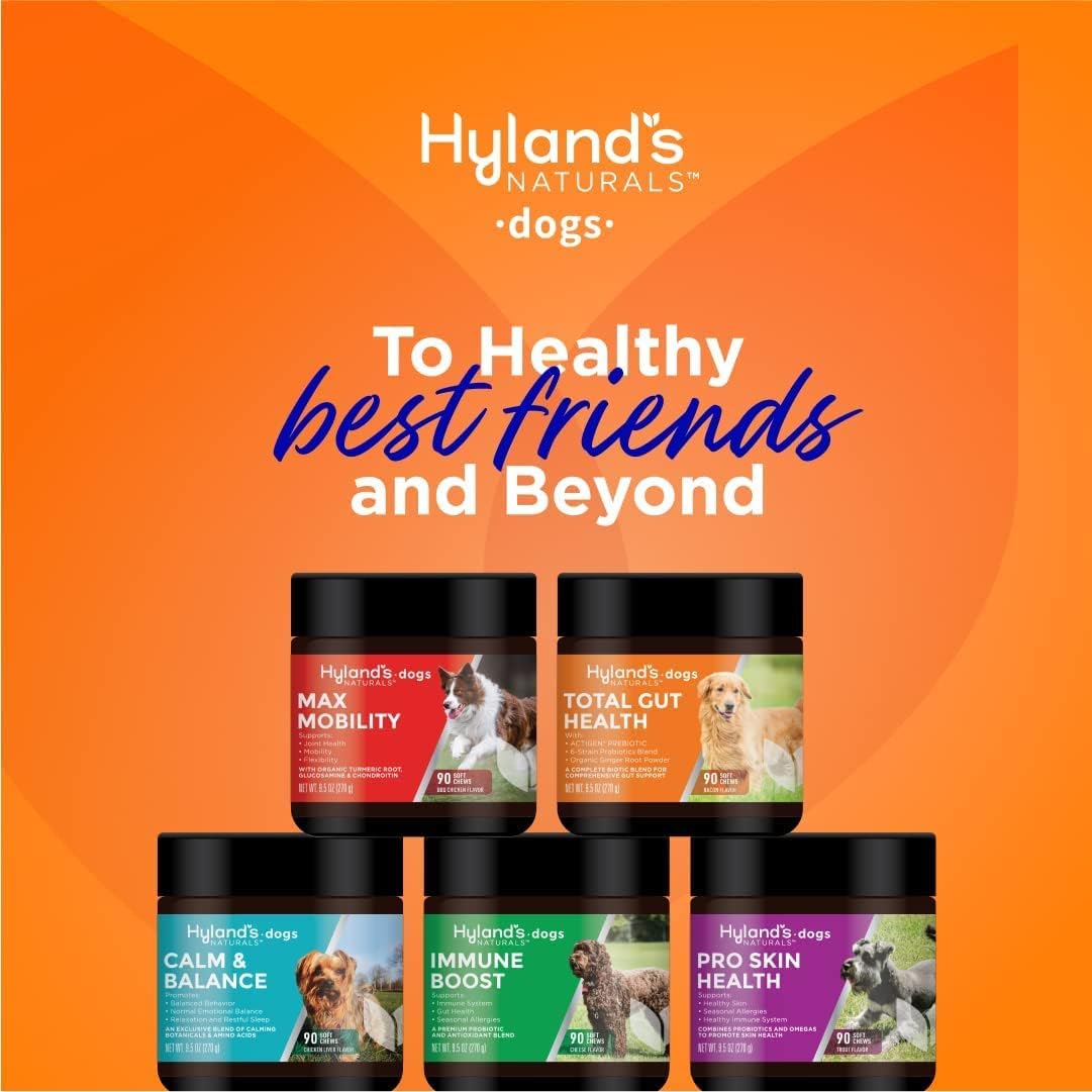 Hyland's Naturals - Pro Skin Health for Dogs, 90 Soft Chews