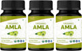ORGANIC SPREE Comprimidos de Amla Orgánica - 1200 mg por ración - 120 comprimidos (Pack de 3)