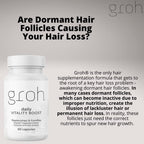 Groh Daily Vitality Boost - Suplemento Natural para Cabello, Piel y Uñas con Hongos y Antioxidantes - 60 Cápsulas