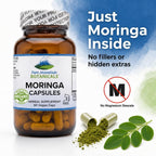 Pure Mountain Botanicals Moringa en Cápsulas - 1000mg Orgánico por Ración - 90 Cápsulas - Vegano Kosher Sin Gluten