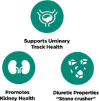 Platinum Naturals – Chanca Piedra | Salud Renal – 90 Cápsulas Vegetales