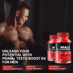 Primal Testo Boost RX ACV Gummies for Men – PrimalTesto Boost RX Male ACV Gummies All-Natural Supplement, Primal TestoBoost RX Gummies Reviews (1 Pack - 60 Gummies)