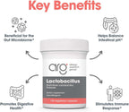 Allergy Research Group ARG Lactobacillus – Probiótico Multicepa, 100 Cápsulas