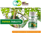 Extracto de Hoja de Papaya 1000 mg - 300 Comprimidos (150 Raciones)