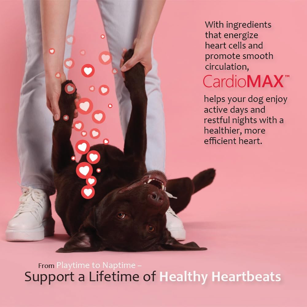 CARDIOMAX Suplemento de Apoyo Cardíaco para Perros - Antioxidantes, L-Taurina, CoQ10 - 60 Masticables Blandos