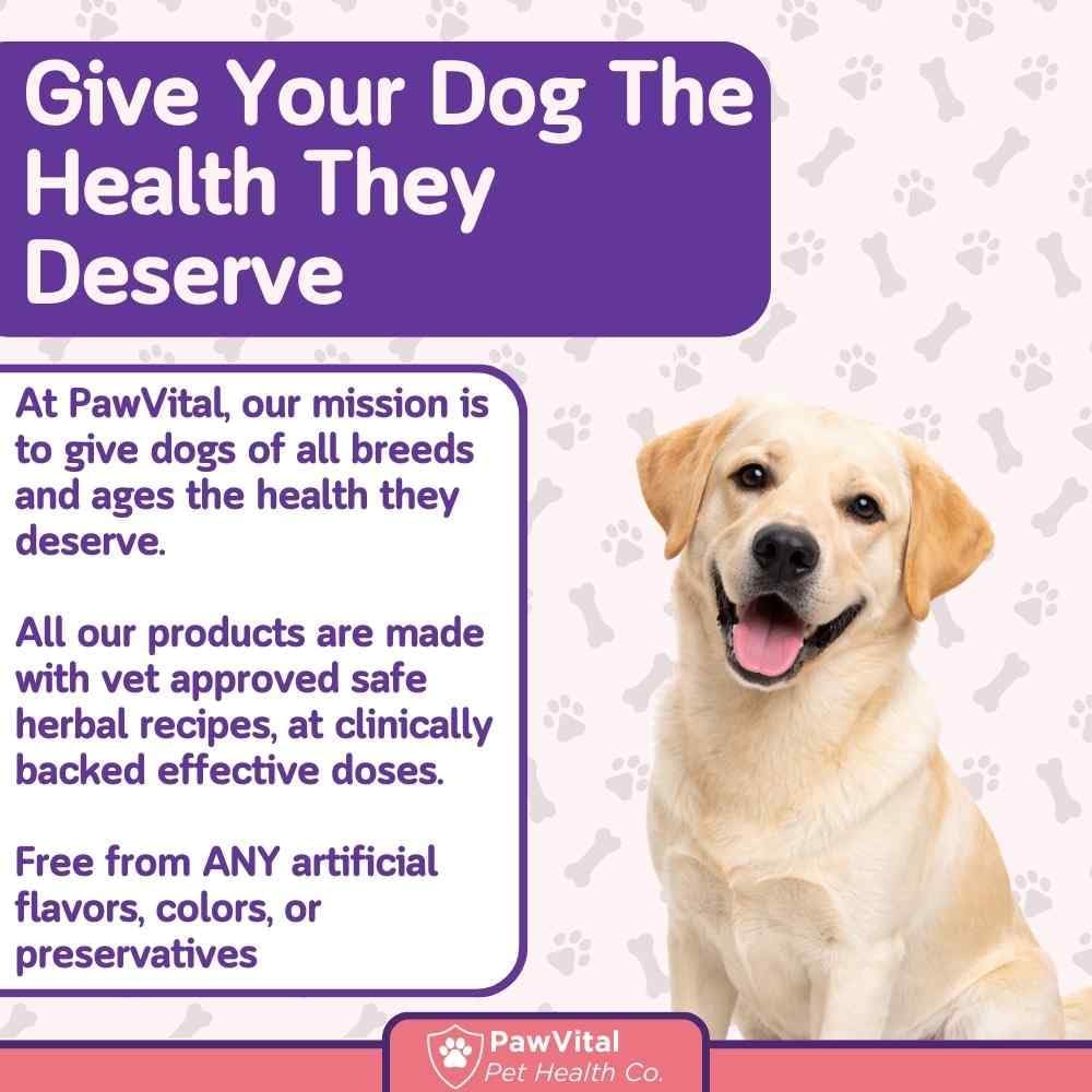 PawVital Suplemento Urinario para Perros con Cranberry y D-Mannose (90 Chews)