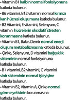 Wellwoman 70+