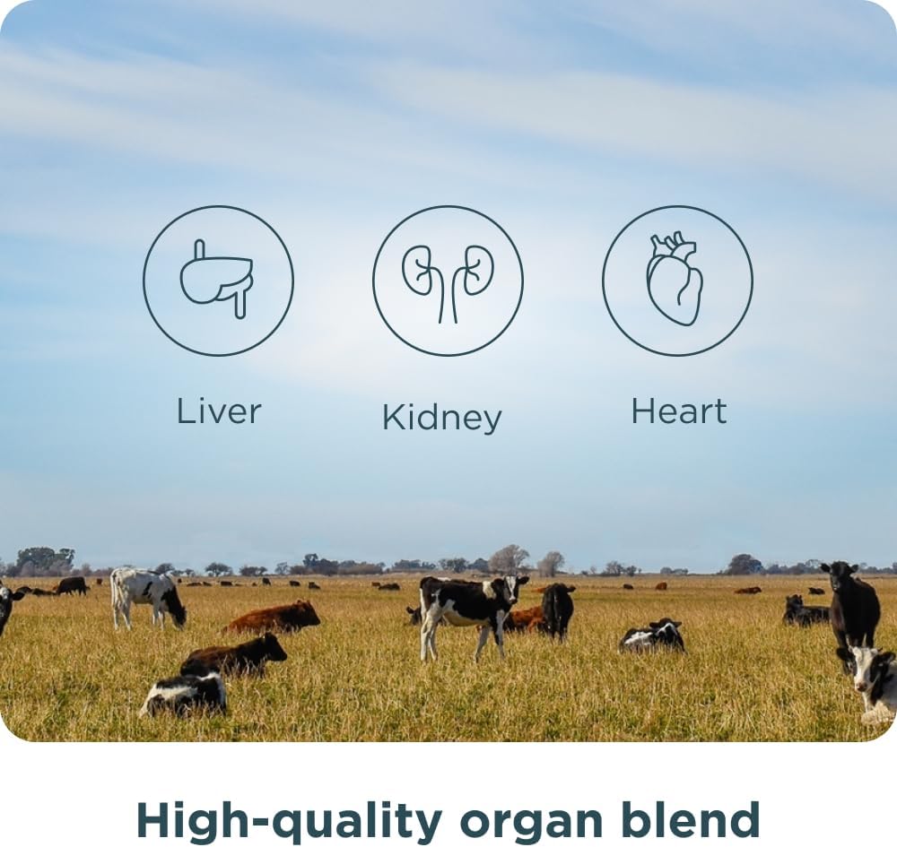 Ancient Nutrition Organ Supplements, Complejo de Órganos Grass-Fed y Silvestre, 30 Cápsulas