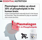 REMORY Plasmalogen Sea Squirt Supplement - Brain Health Supplement - 30 Días de Suministro