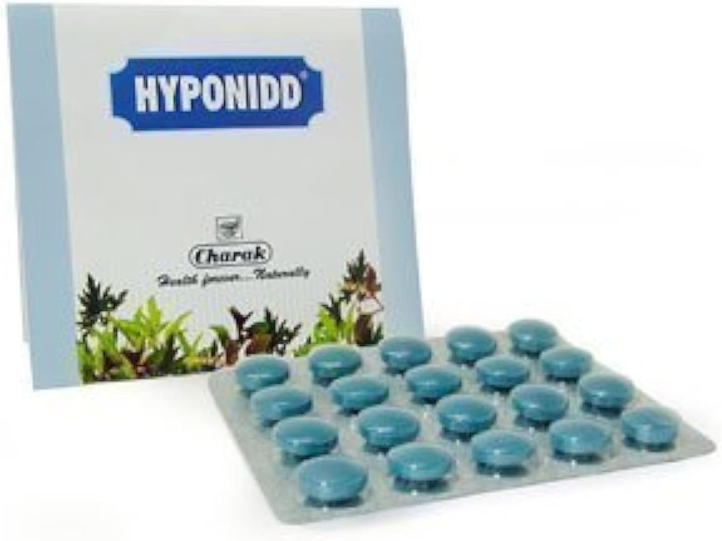 Hyponidd 120 comprimidos
