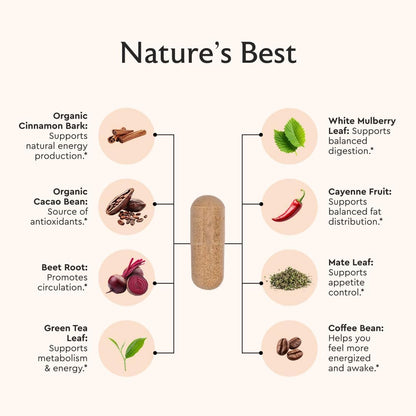 Alaya Naturals Metabolism+ - Energía Natural – Apoyo a la circulación y el movimiento: La cayena y la hoja de – Image 3