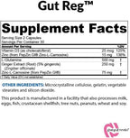 BioTrust Gut Reg - Apoyo para la Salud Intestinal, 60 Cápsulas