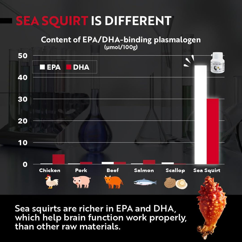 REMORY Plasmalogen Sea Squirt Supplement - Brain Health Supplement - 30 Días de Suministro