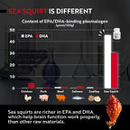 REMORY Plasmalogen Sea Squirt Supplement - Brain Health Supplement - 30 Días de Suministro