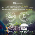 ML Naturals PolicoPS – 100mg Policosanol & 100mg Fosfatidilserina (por dosis) – 120 Cápsulas Vegetales – No Transgénico
