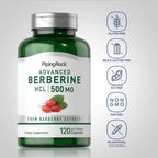 Piping Rock Berberina HCL Cápsulas 500mg - 120 Cápsulas - Extracto de Berberina - No Transgénico, Sin Gluten