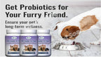 Omega Alpha Pet Probiotic 8 Plus - Probióticos, Enzimas y Fibra para una Mejor Digestión de Mascotas (500g)