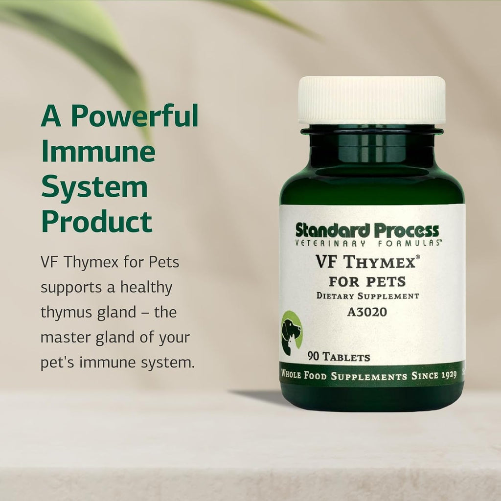 Standard Process VF Thymex for Pets - Thymus Support Supplement for Dogs and Cats - 90 Tablets